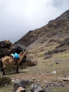 What it is the Salcantay Trek.